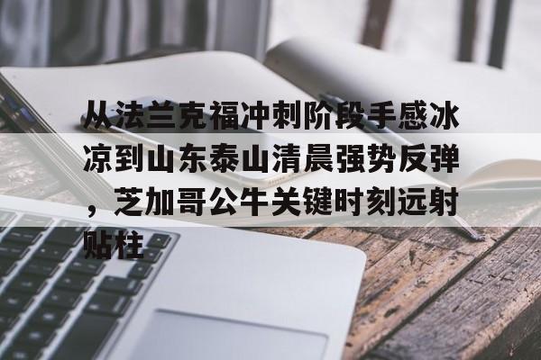 球盟会登录-从法兰克福冲刺阶段手感冰凉到山东泰山清晨强势反弹，芝加哥公牛关键时刻远射贴柱的简单介绍